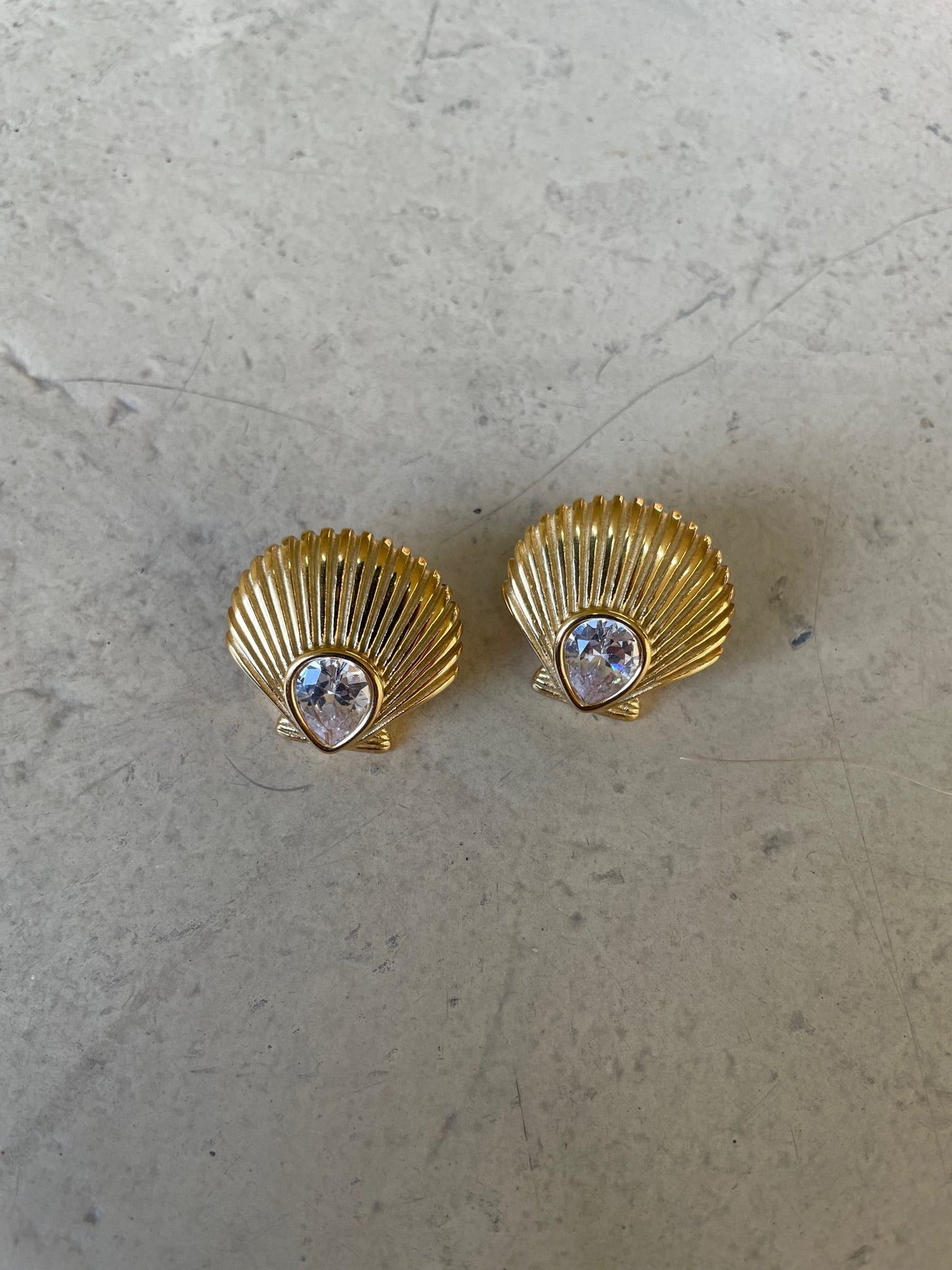 Seashell Earrings