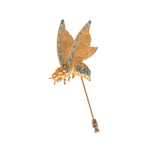 Darwin Lapel Pin